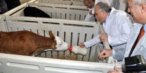 Ahmet Eşref Fakıbaba: Halkı aydınlatın