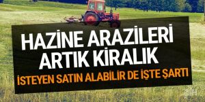 Hazine arazileri çiftçiye kiralanacak
