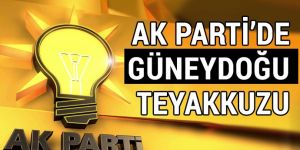 Yeni hayata vurgu yapılacak