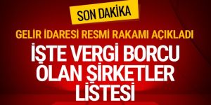 31 Bin 56 Kişi ve Kuruluşun 1 Milyon Liranın Üzerinde Vergi Borcu Var