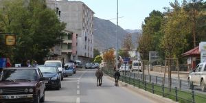 Sahipsiz eşekler kazalara davetiye çıkarıyor