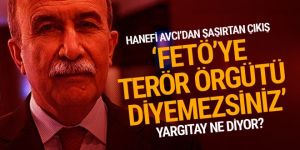 Hanefi Avcı'dan skandal çıkış: FETÖ'ye terör örgütü diyemezsiniz...