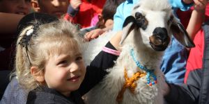 Erzurum’da kuzulu çocuk kütüphanesi