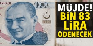 Kamu işçisine 1083 lira ilave ödeme (Kadroya geçen taşerona müjde)