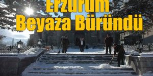 Doğu Anadolu kar altında