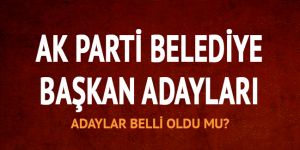 AK Parti yerel seçim temayül sonuçları!