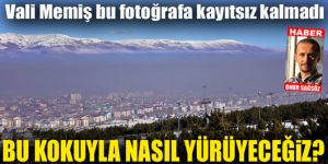Vali Memiş bu fotoğrafa kayıtsız kalmadı