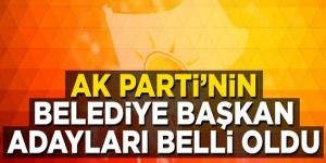 Erzurum Belediye Başkanı Mehmet Sekmen kimdir?