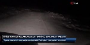 Tipide mahsur kalanları kurt sürüsü korkuttu