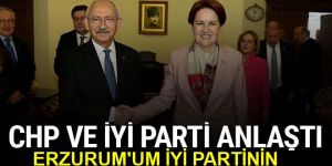 CHP ve İyi Parti seçim için anlaştı! İşte detaylar