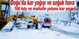 Doğu'da kar yağışı ve soğuk hava