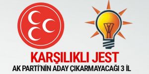 AK Parti hangi büyükşehirlerde MHP adayını destekleyecek?