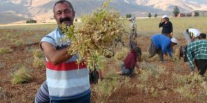 Maçoğlu, "HDP ile İttifak Yapacak" İddialarına Noktayı Koydu