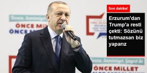 Erdoğan'dan Trump'a Güvenli Bölge Çıkışı