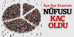 Erzurum İlçe, İlçe nüfus sonuçları