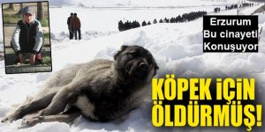 Cinayetin nedini Köpek!