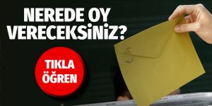 YSK sandık sorgulama açıldı