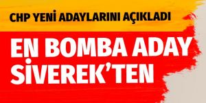 CHP'nin Şanlıurfa Siverek adayı Mehmet Fatih Bucak oldu