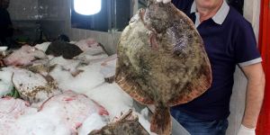 Karadeniz'de tutuldu, tezgaha gelmeden satıldı