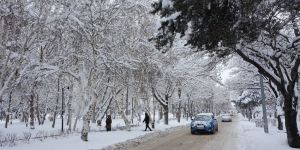Doğu Anadolu'da dondurucu soğuklar