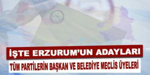 Erzurum'da Geçici aday listeleri seçim kurullarında