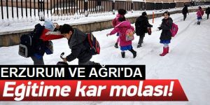 Ağrı ve Erzurum'da eğitime kar engeli
