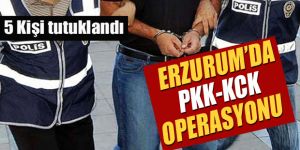 Erzurum merkezli 3 ildeki terör operasyonunda 5 tutuklama