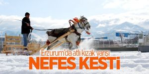 Erzurum’da "Atlı Kızak Türkiye Şampiyonası" nefes kesti