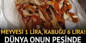 Portakalın kilosu 1 lira kabuğu 6 lira