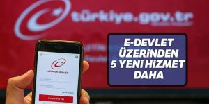 E-Devlet üzerinden 5 yeni hizmet daha