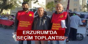 TKP Erzurum'da seçim çalışmasına hız verdi