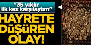 Muğla'da  '35 yıldır bu işi yapıyorum, ilk kez karşılaştım'