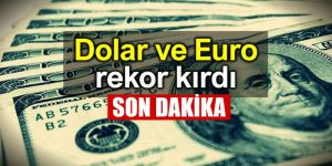 Dolar yılın zirvesinde