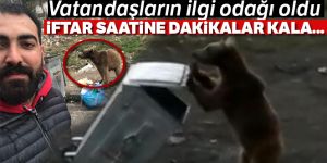 Sarıkamış'ta yemek kokusu yavru ayıyı sokağa indirdi