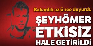 Başına 600 bin TL ödül koyulan terörist Şeyhömer etkisiz hale getirildi