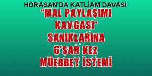 Horasan'da "Mal paylaşımı kavgası" sanıkları hakim karşısında