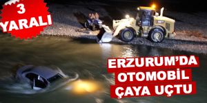 Otomobil çaya uçtu