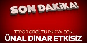 Terör listesindeki Ünal Dinar etkisiz hale getirildi