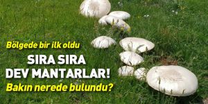 Gümüşhane'de son 25 yılın en büyük mantarı bulundu
