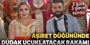 Aşiret düğününde geline bir kilo altın, damada ise 100 bin lira takıldı