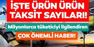 Elektronik ve beyaz eşyada taksit sayıları arttı!