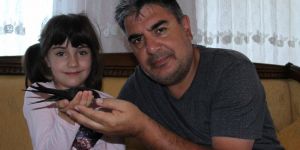 Ebabil kuşu Erzurumlu vatandaşın evine sığındı