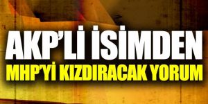 AK Parti'li isimden MHP'yi kızdıracak yorum