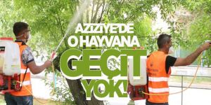 Aziziye’de haşerelere geçit yok