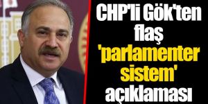 CHP'li Gök'ten flaş 'parlamenter sistem' açıklaması