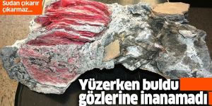 Datça'da yüzerken bulmuş ve gözlerine inanamamıştı!