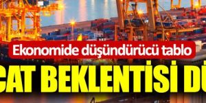 Ekonomide düşündürücü tablo: İhracat verileri düştü