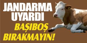 Jandarma vatandaşları hayvan hırsızlığına karşı uyardı