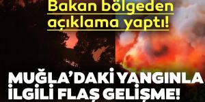 Muğla'daki yangınla ilgili Bakan Pakdemirli'den açıklama