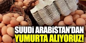 Suudi Arabistan'dan yumurta alıyoruz